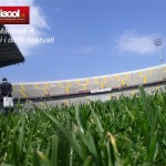 palermo_stadio barbera 11042010655