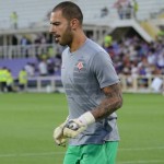 Sepe