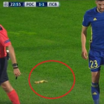 screen banana in campo