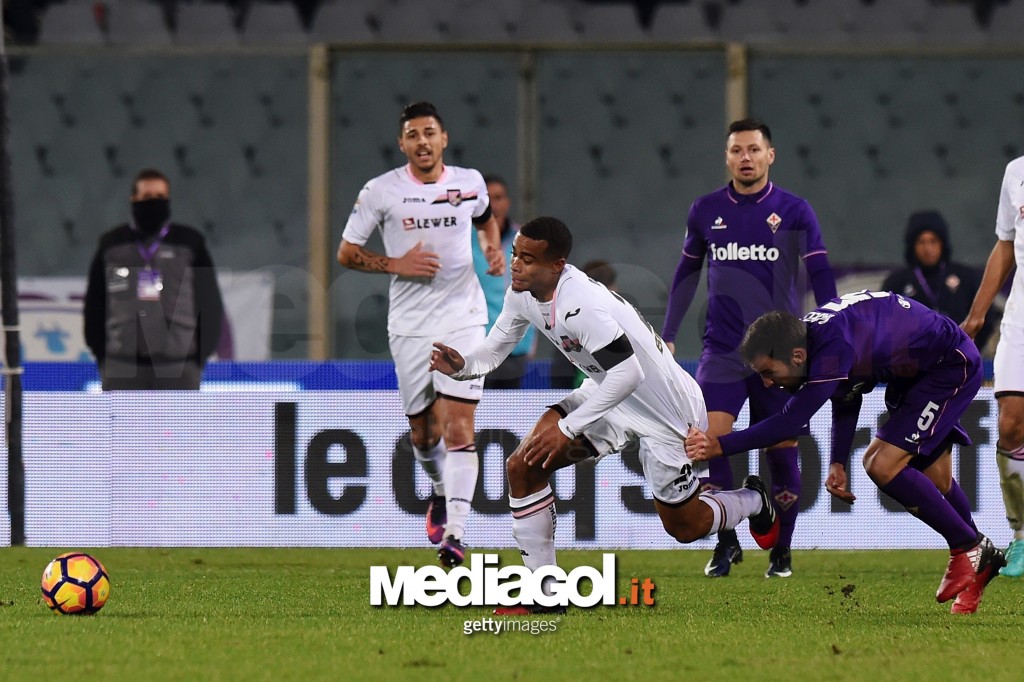 ACF Fiorentina v US Citta di Palermo - Serie A