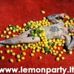 Paul Baccaglini e... i limoni