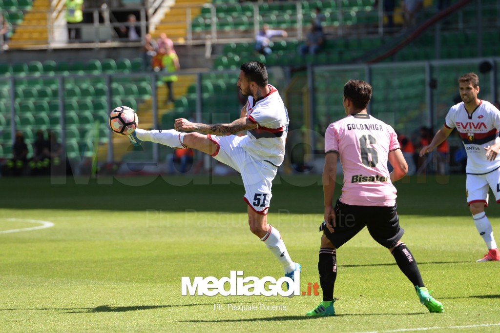 pinilla