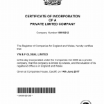 screen documento yw e f global limited 3