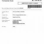 screen documento yw e f global limited 4