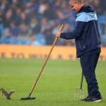 man city scoiattolo 2