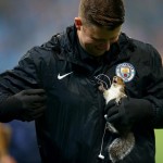 man city scoiattolo 3