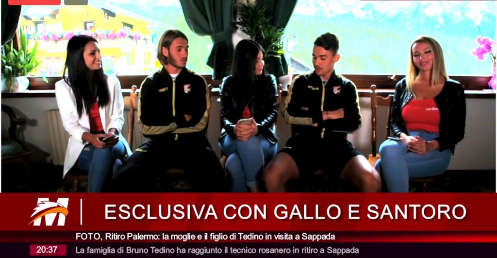 Lady Mediagol gallo Santoro