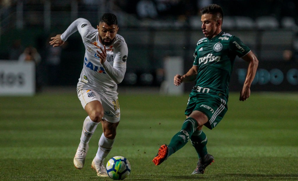 Santos v Palmeiras - Brasileirao Series A 2018