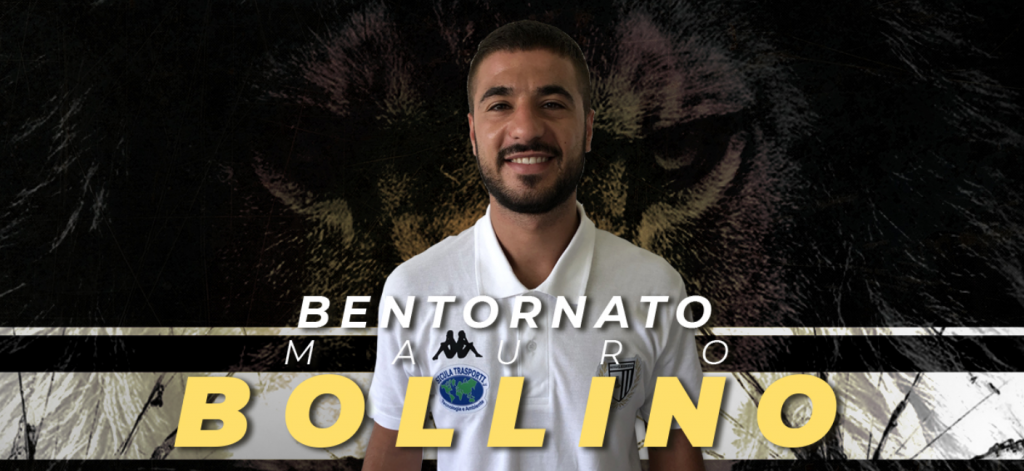 mauro bollino