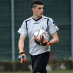 Matteo voltolini