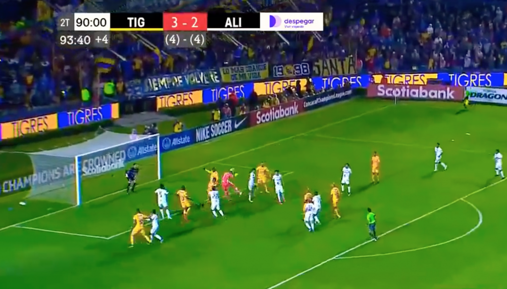 tigres