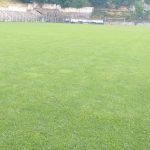 ecfb7ab1-7cb5-4053-ab32-1739f4cc77ee