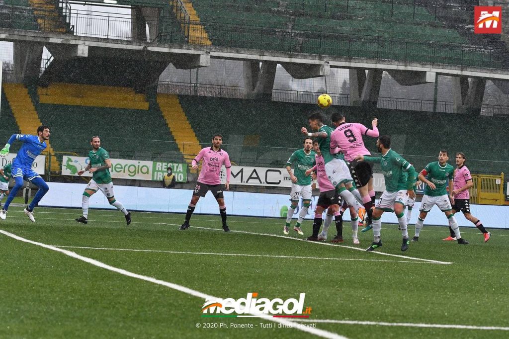 avellino