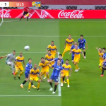 tigres