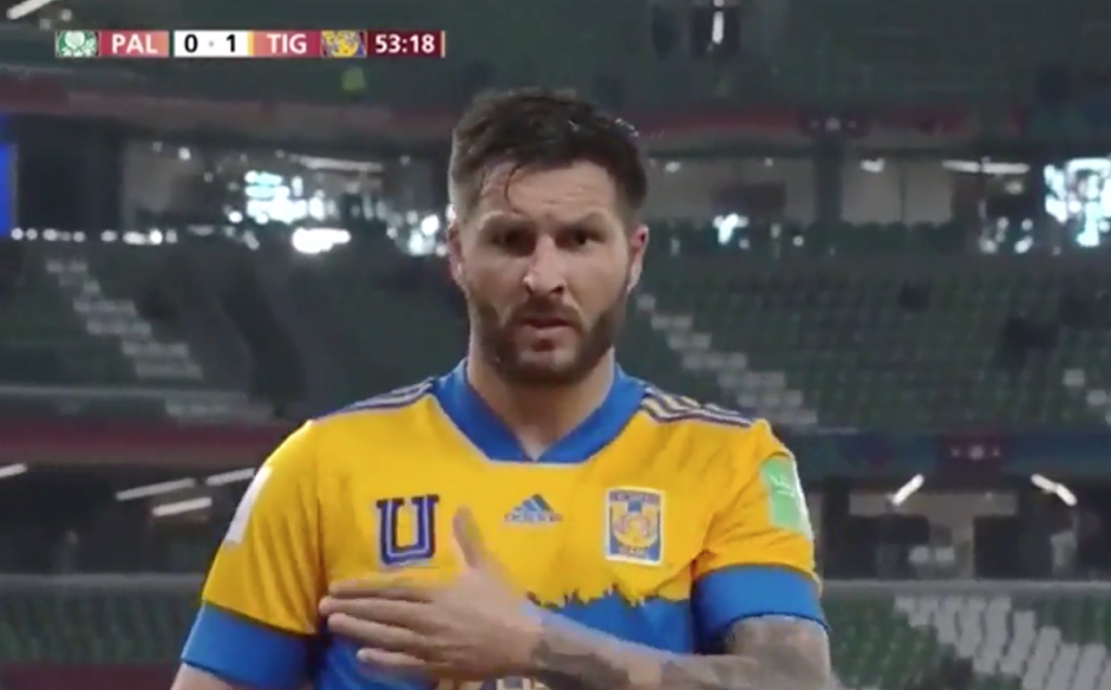 tigres