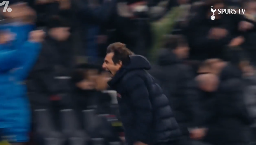 Conte