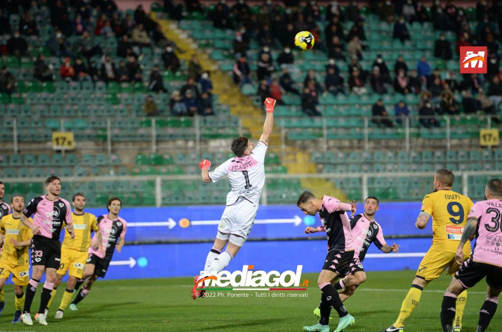 Pelagotti