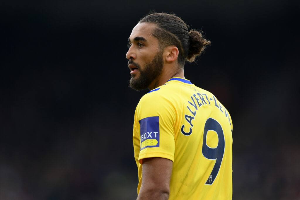 Crystal Palace v Everton FC - Premier League