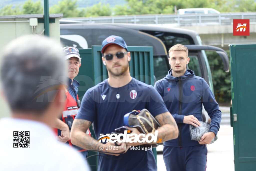 arnautovic
