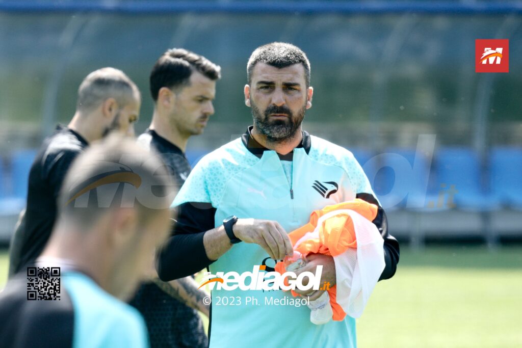 bovo