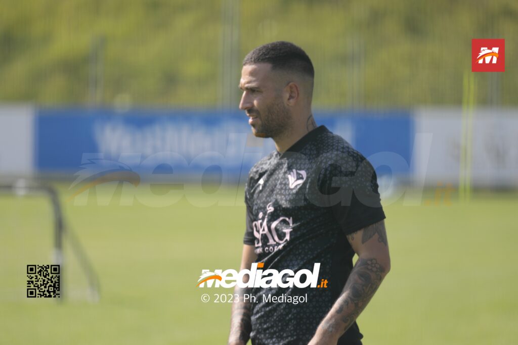 insigne