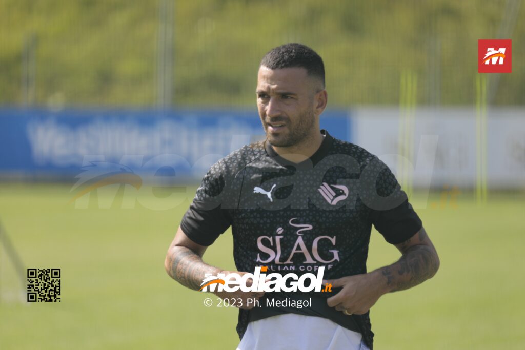 insigne