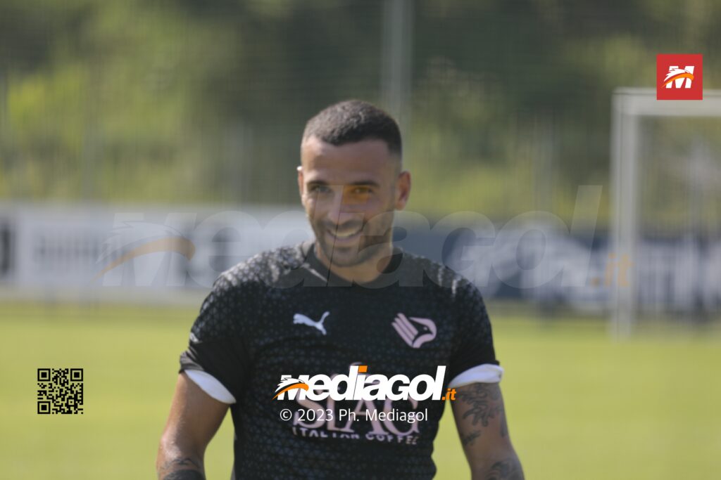 insigne