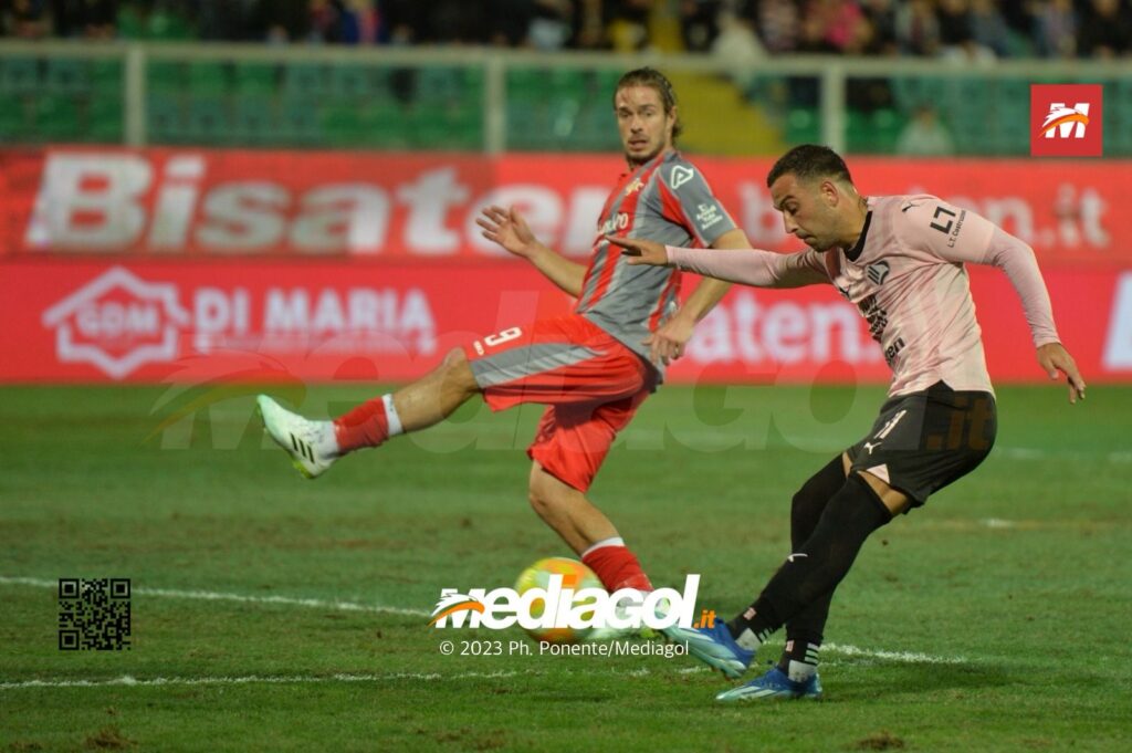 insigne