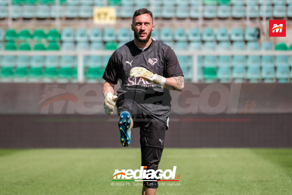 pigliacelli