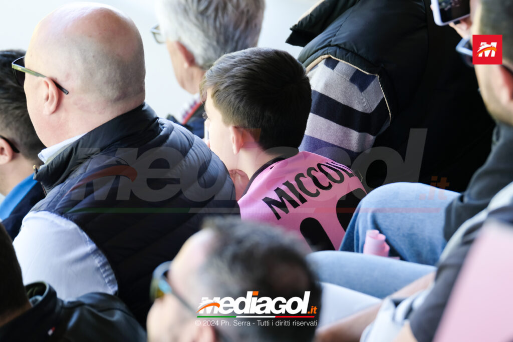 miccoli tifosi