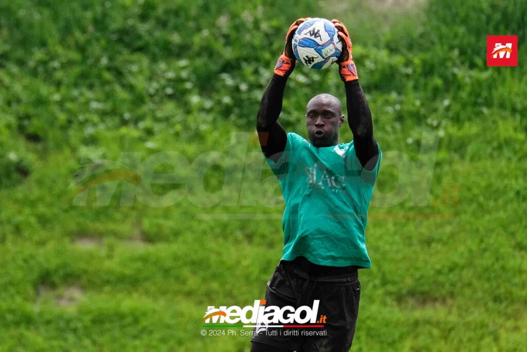 gomis