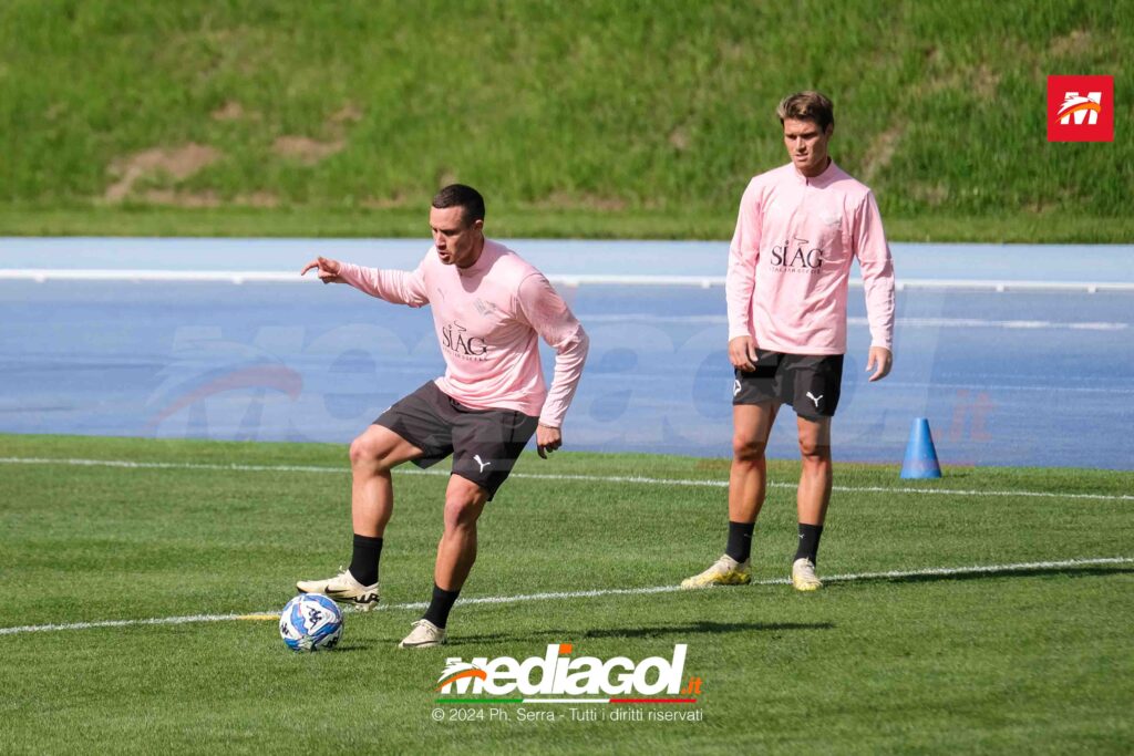 saric segre