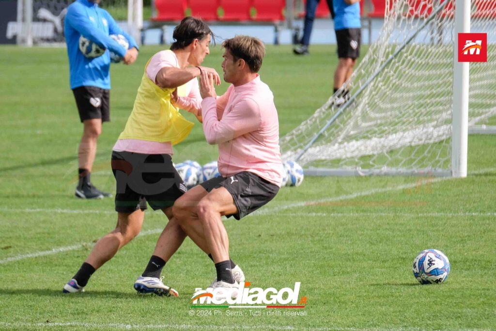 segre ranocchia