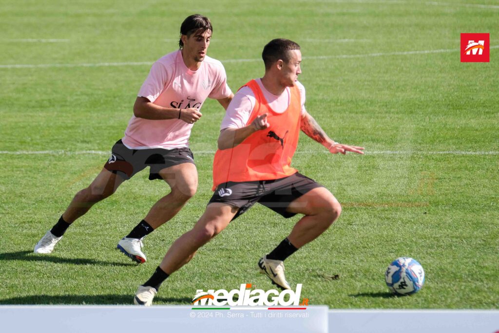saric ranocchia
