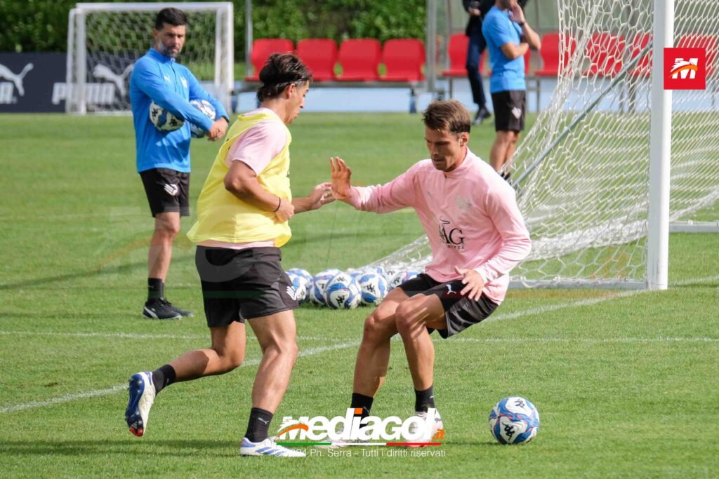 segre ranocchia