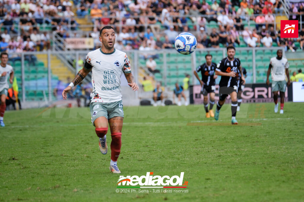 insigne