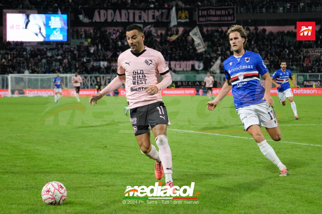 insigne