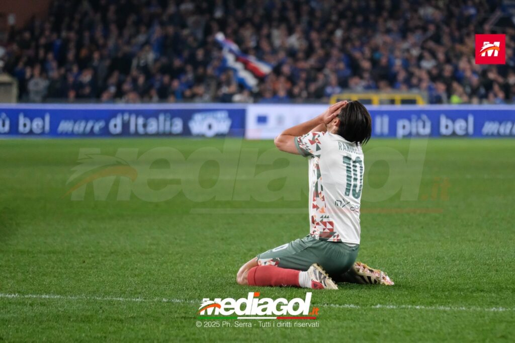 ranocchia